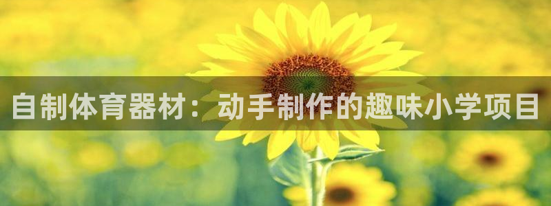 星欧娱乐还能玩吗：自制体育器材：动手制作的趣味小学项