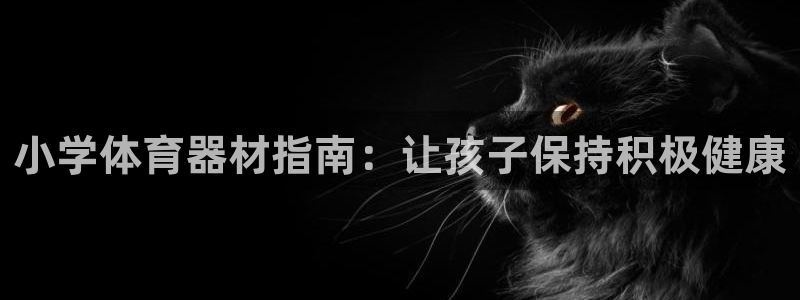 星欧娱乐的创始人背景故事简介
