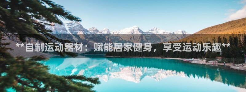 星欧娱乐工711.11是正规的吗：**自制运动器材：