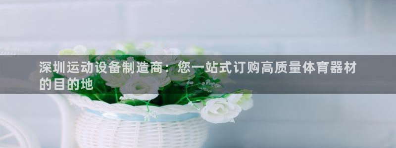星欧娱乐扣款时间查询方法怎么查的：深圳运动设备制造商