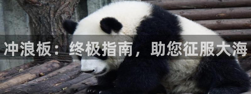 星欧娱乐官网下载安装：冲浪板：终极指南，助您征服大海