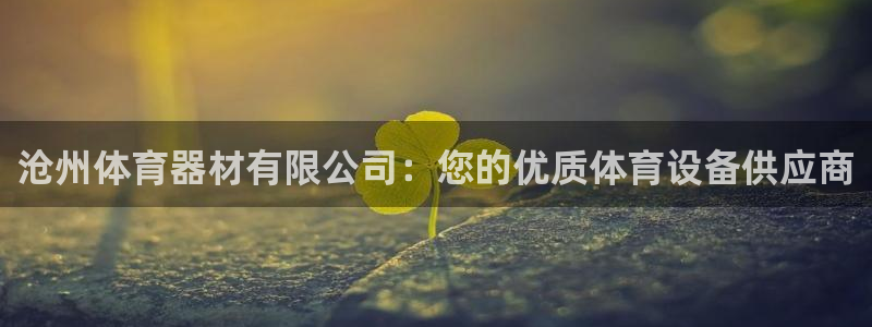 星欧娱乐扣款流程详解图片大全：沧州体育器材有限公司：