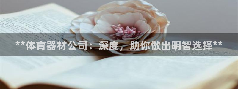 星欧娱乐的官方版本更新内容怎么删除：**体育器材公司