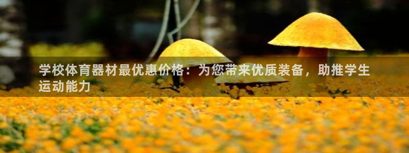 星奥娱乐集团官网：学校体育器材最优惠价格：为您带来优