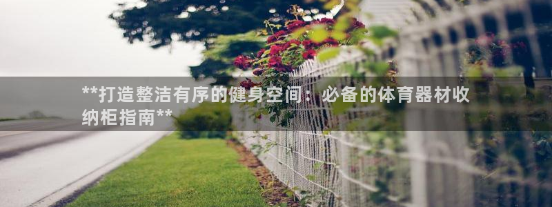 星欧娱乐挂机赚钱是真的吗：**打造整洁有序的健身空间