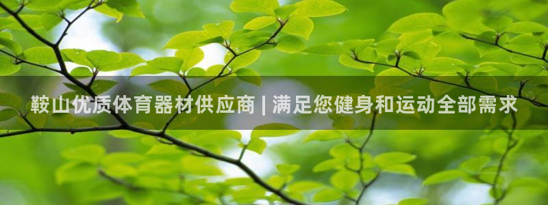 星欧娱乐：鞍山优质体育器材供应商 | 满足您健身和运