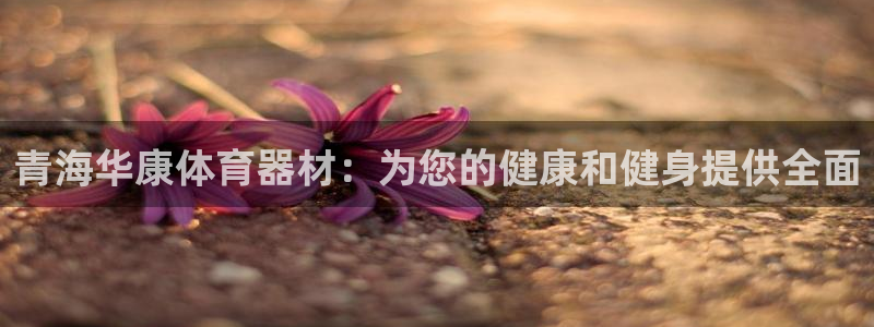 星欧娱乐和嫲薇他的区别是什么：青海华康体育器材：为您