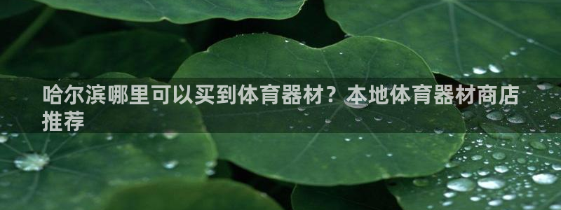 星奥娱乐怎么样知乎：哈尔滨哪里可以买到体育器材？本地