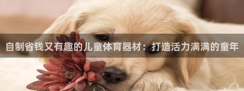 星欧娱乐的官方版本更新内容是什么：自制省钱又有趣的儿