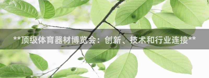 星欧娱乐属于什么档次的公司：**顶级体育器材博览会：