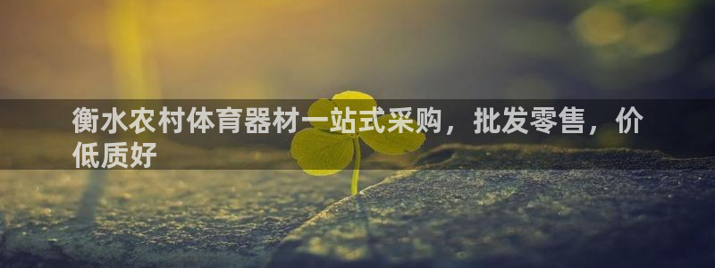 星欧娱乐平台地7O777：衡水农村体育器材一站式采购