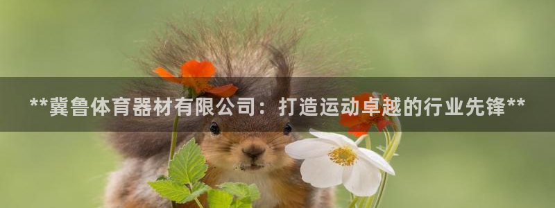 星欧娱乐属于什么档次：**冀鲁体育器材有限公司：打造