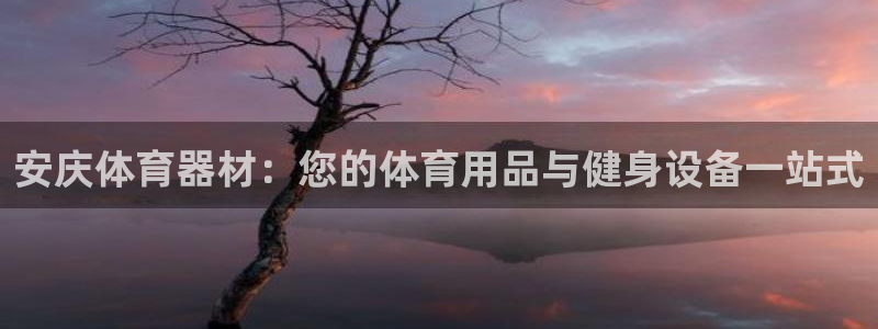 星欧娱乐游戏中心官网登录：安庆体育器材：您的体育用品