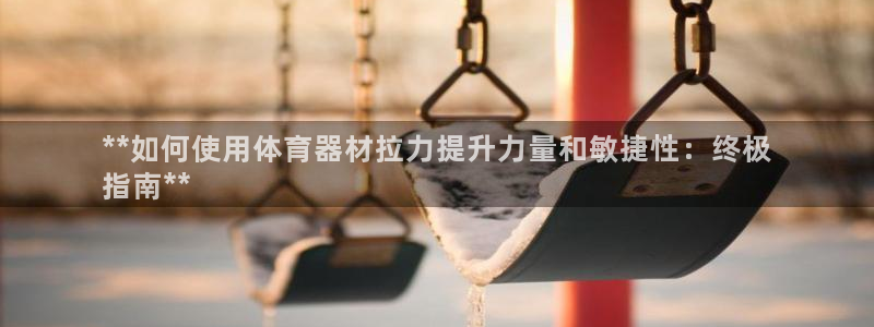 星欧娱乐被扣款7IIII怎么关闭：**如何使用体育器
