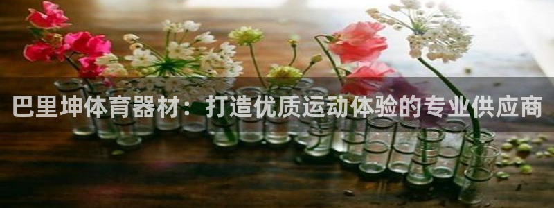 星欧娱乐平台怎么样知乎：巴里坤体育器材：打造优质运动