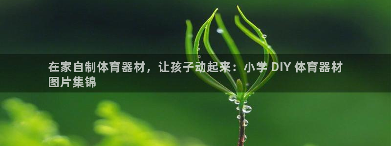 星欧娱乐游戏中心官网登录：在家自制体育器材，让孩子动