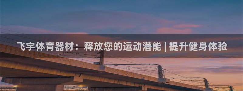 星欧娱乐公司创始人背景故事简介：飞宇体育器材：释放您