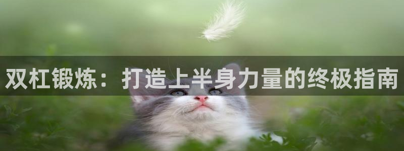 星欧娱乐下载最新版本更新内容：双杠锻炼：打造上半身力