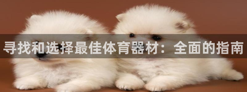 星欧娱乐扣款流程详解图片大全：寻找和选择最佳体育器材