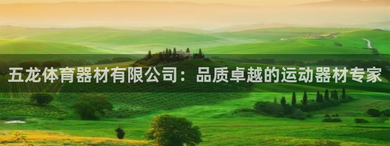 星欧娱乐扣款流程详解图：五龙体育器材有限公司：品质卓越的运动