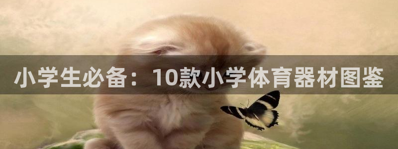 星欧娱乐扣款流程详解视频播放