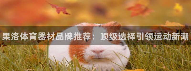 星欧娱乐平台怎么样啊：果洛体育器材品牌推荐：顶级选择
