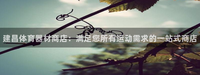 星欧娱乐公司创始人背景故事简介：建昌体育器材商店：满