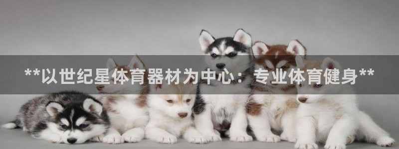 星欧娱乐平台怎么样啊：**以世纪星体育器材为中心：专