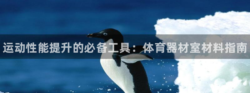 星欧娱乐扣费后解决方法：运动性能提升的必备工具：体育