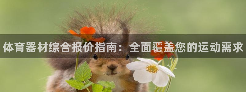 星欧娱乐最建议买的三个游戏：体育器材综合报价指南：全