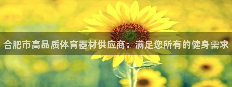星奥娱乐招聘：合肥市高品质体育器材供应商：满足您所有