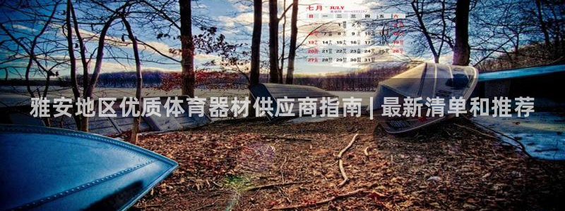 江苏星奥娱乐有限公司招聘：雅安地区优质体育器材供应商指南 |