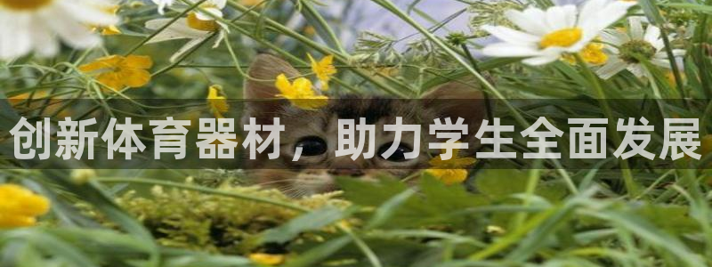 星欧娱乐会员优惠活动