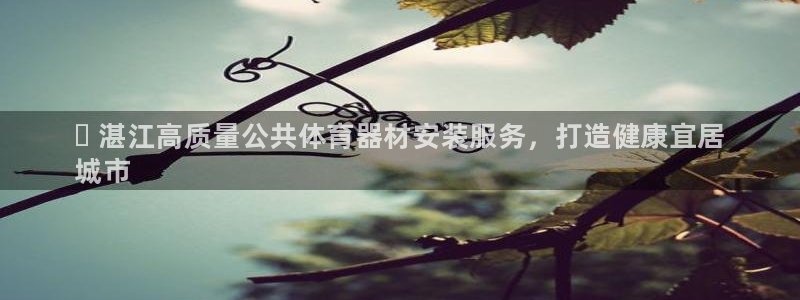 星欧娱乐最建议买的三个产品是什么呢：✅ 湛江高质量公共体育器