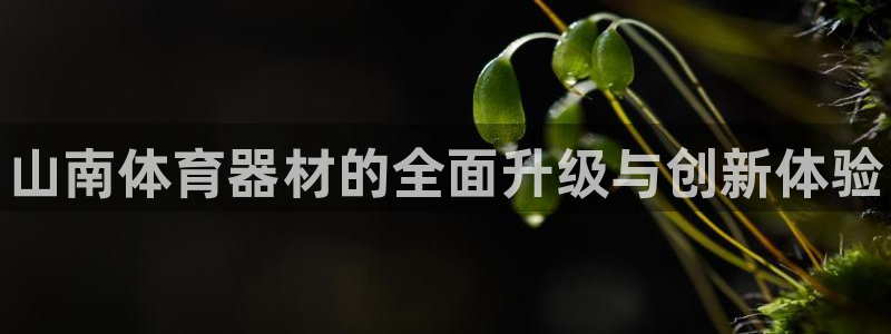 星欧娱乐v8.0.3最新版本更新内容介绍：山南体育器材的全面 