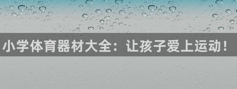 星欧娱乐和嫲薇他的区别是什么：小学体育器材大全：让孩子爱上运 