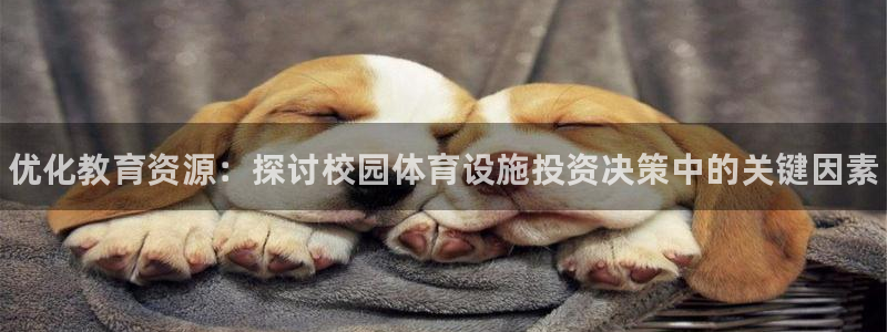 星欧娱乐测速怎么样：优化教育资源：探讨校园体育设施投资决策中