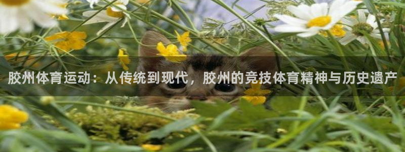 星娱乐包月业务是什么