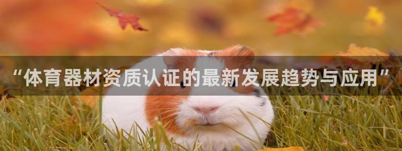 星欧娱乐扣钱步骤详解