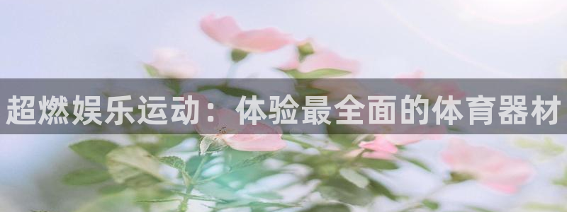 星欧娱乐公司：超燃娱乐运动：体验最全面的体育器材