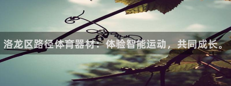 星欧娱乐app最新版本更新内容下载：洛龙区路径体育器