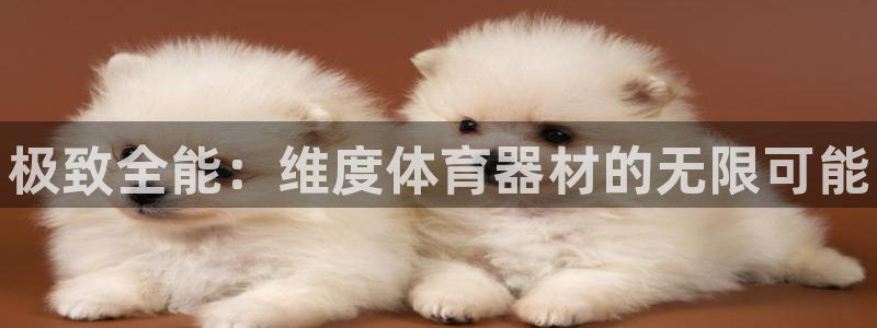 澳星国际娱乐集团：极致全能：维度体育器材的无限可能