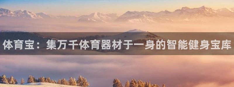 星奥娱乐集团官网：体育宝：集万千体育器材于一身的智能健身宝库